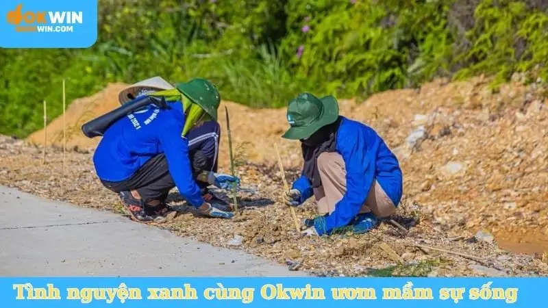 Tình nguyện xanh cùng Okwin ươm mầm sự sống